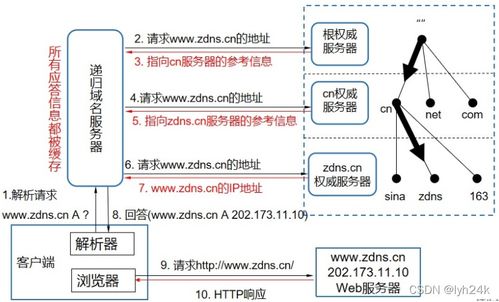 詳解域名解析服務在計算機網絡信息管理與服務中的作用
